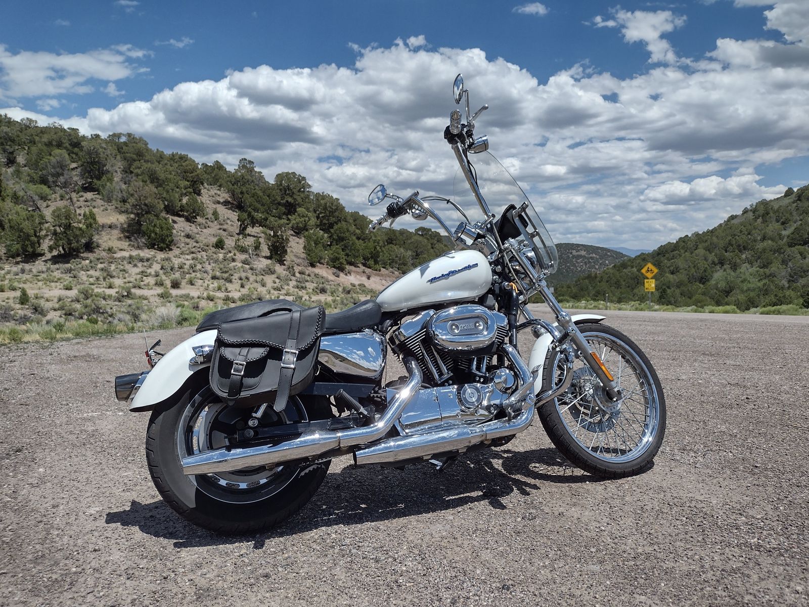 2004 Harley Sportster 1200 Custom – 33,000 Miles