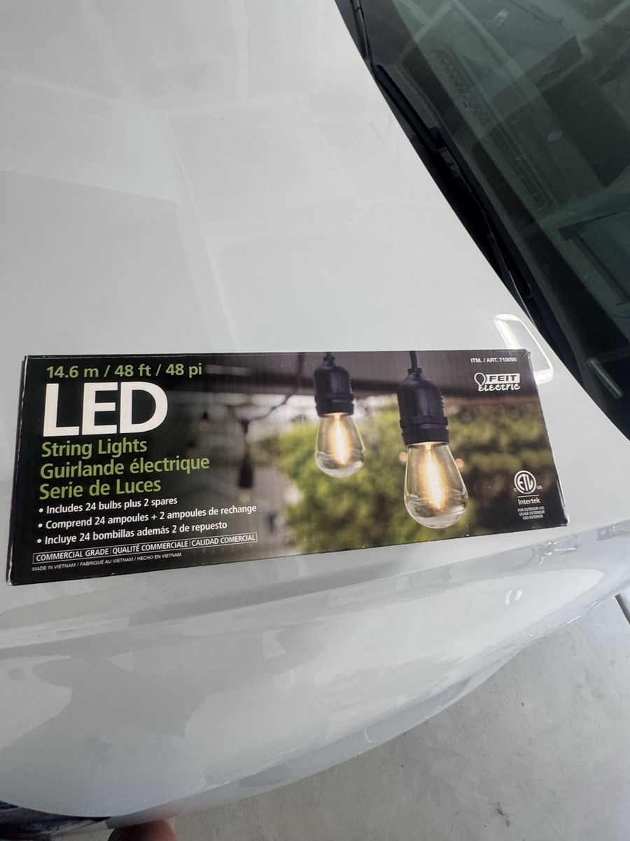 FEIT Electric 48ft LED String Lights - Commercial Grade, 24 Bulbs + 2 Spares