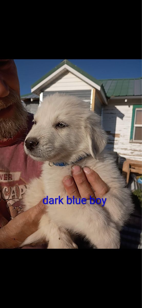 Main image 4