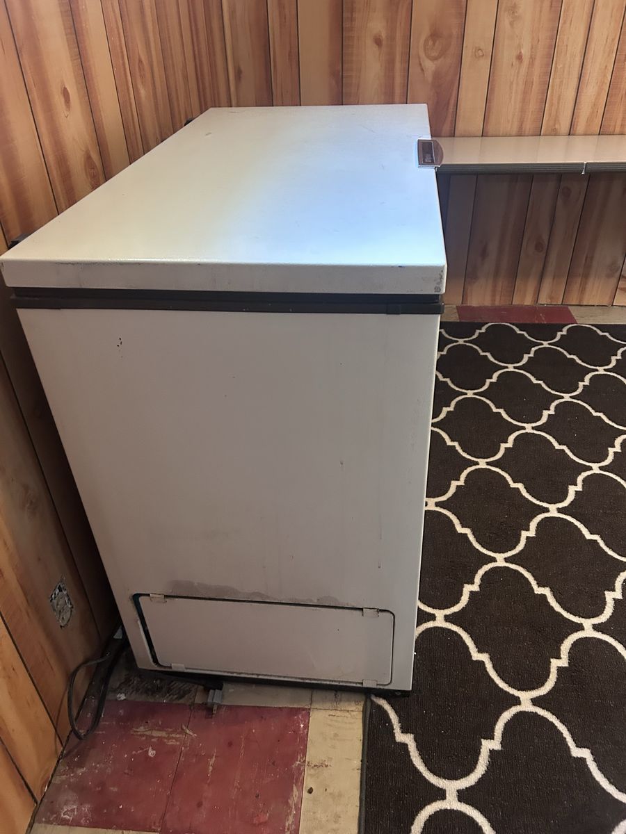 Frigidaire White Chest Food Freezer - Compact Storage