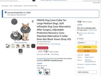 Dog cone Collar