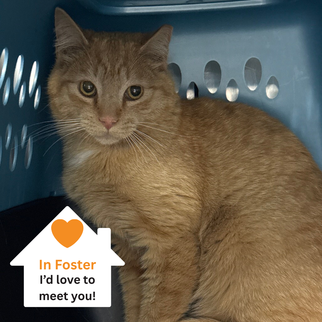 Hello my name is Cairo