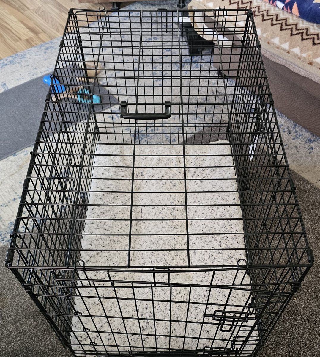 Dog Crate