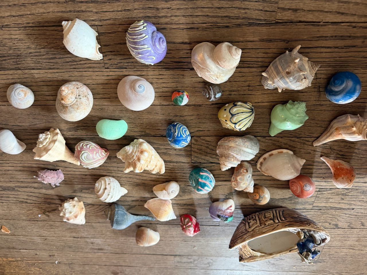 Hermit Crab Growth Shells