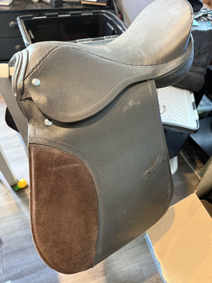 English Riding Saddle