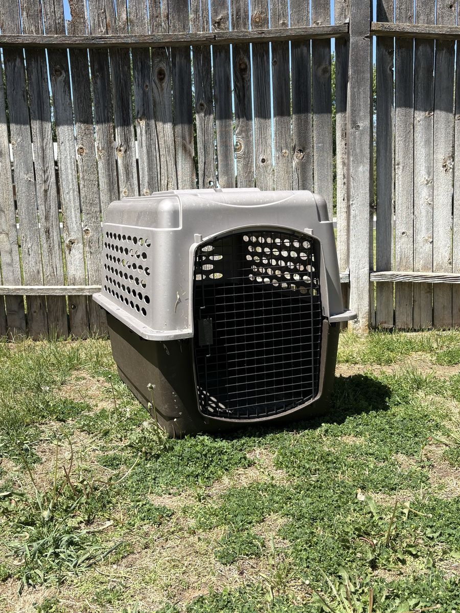 Large Dog Crate