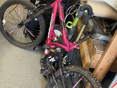 Pair of Kids Bikes - Pink Swift & Blue Cycle Cross - Both 20-inch Wheels
