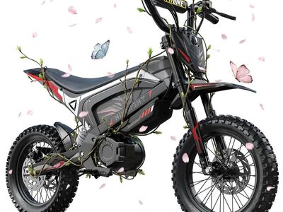 GTX1 Electric Dirt Bike 3000W 14/12 Fat Tires