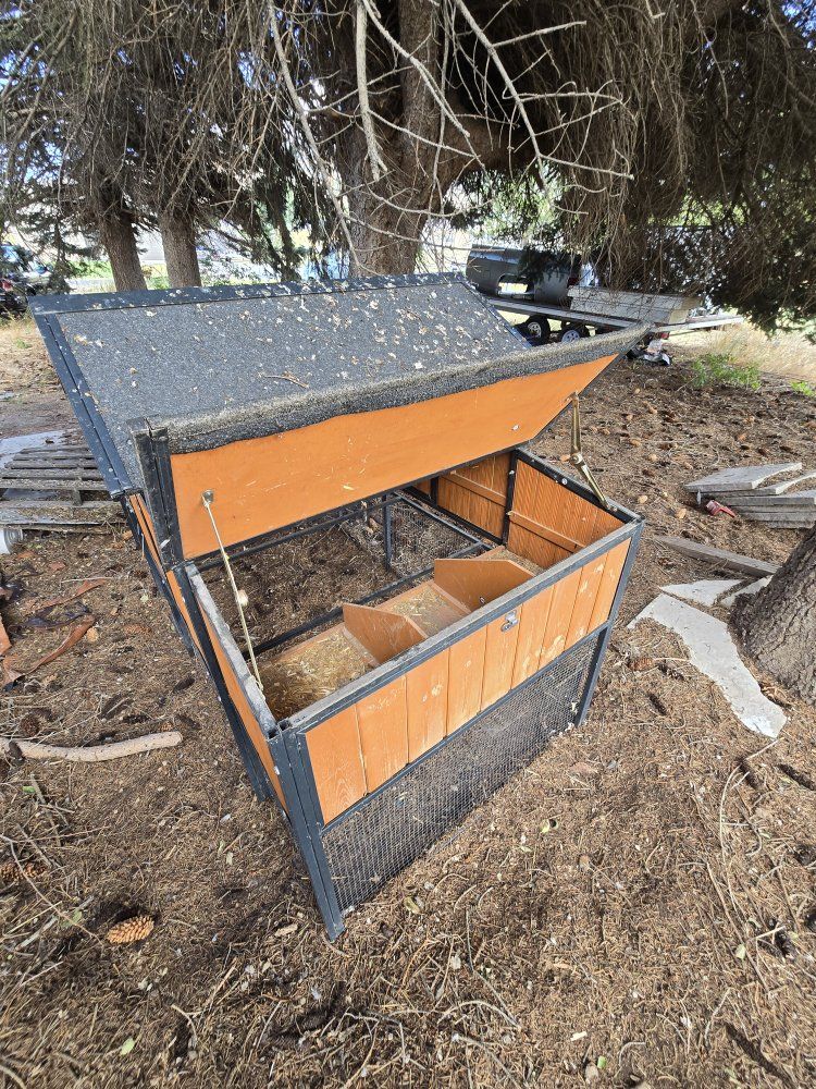 Main image 5