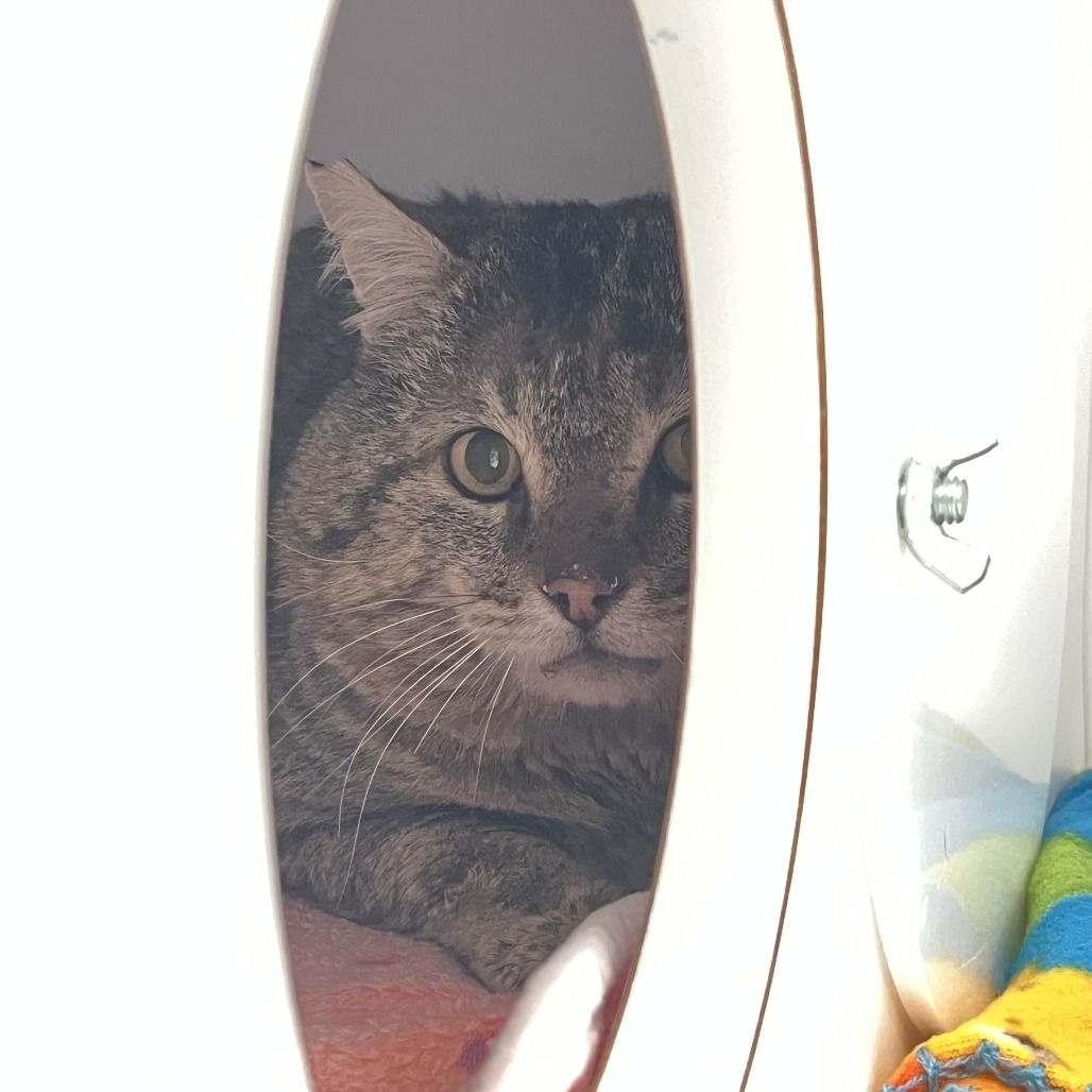 Hello my name is Bobby