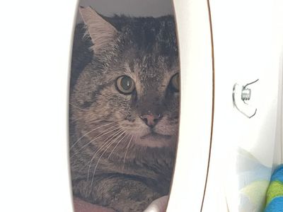 Hello my name is Bobby