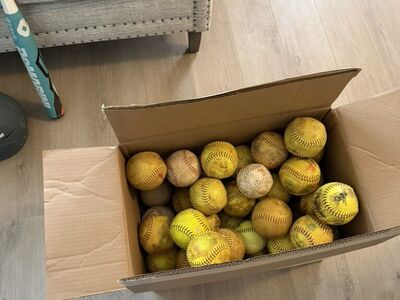 Softballs And 6 soft Training Balls