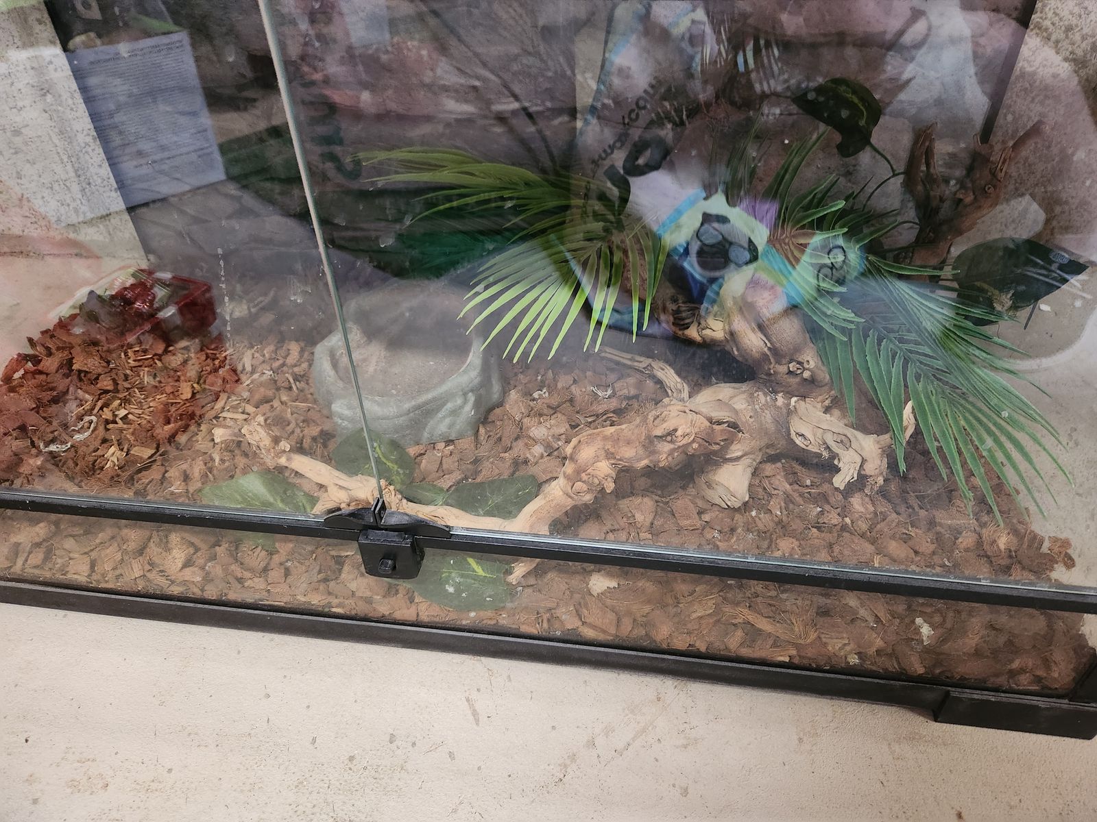 Full tank set up
