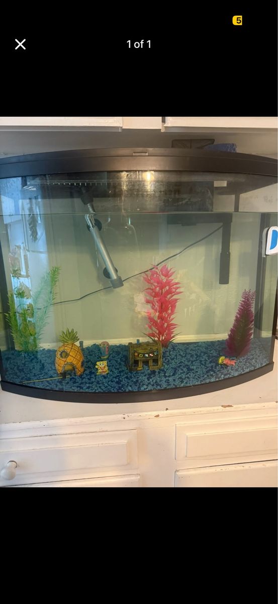 32 Gallon fish tank