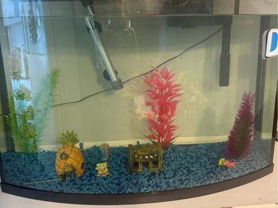 32 Gallon fish tank