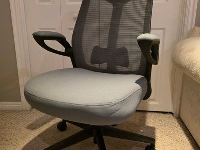 Member's Mark Ergonomic Mesh Office Chair – Light Gray – Brand New – Fully Assembled