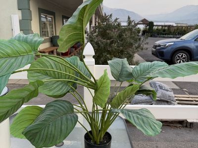 Artificial Potted Green Leaf Plant - Potted Faux Botanical Decor