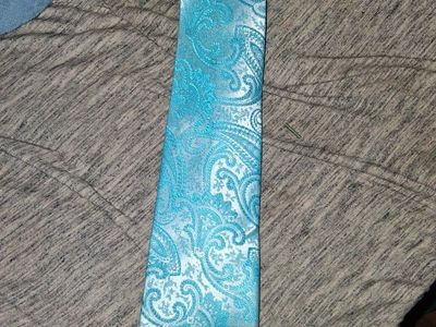 Unbranded Men's Blue Paisley Silk Necktie