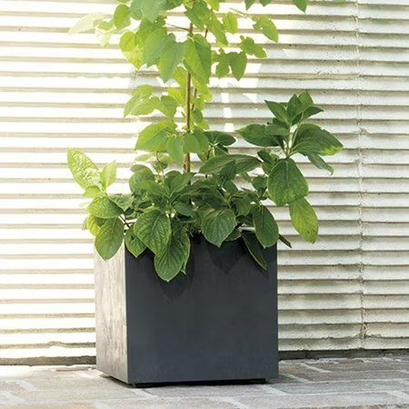 Deroma Millennium 10” Cube Planter, Black
