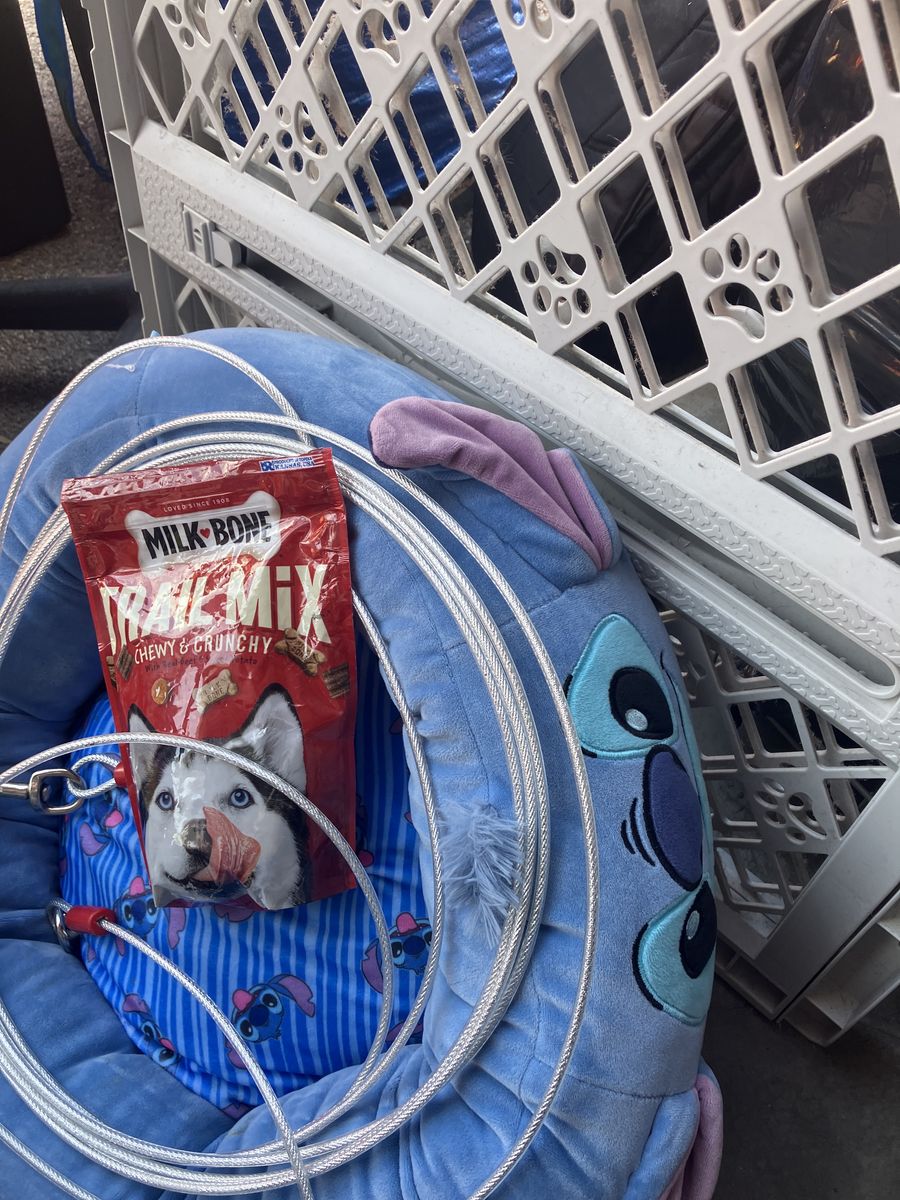 Starter Pack for Puppy small dog