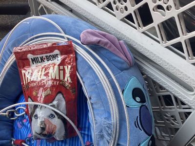 Starter Pack for Puppy small dog