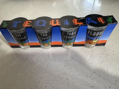 Vintage Tequila Shot Glass Set - "One Tequila, Two Tequila, Three Tequila, Floor!" - Barware Collectible