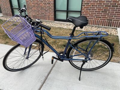 Women’s momentum Bike with schwinn 6 gears. Excellent condition. Im asking $300 OBO.