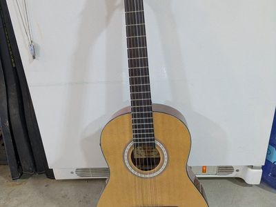 Vangoa Guitar