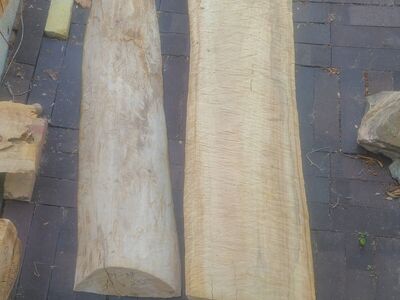 Cottonwood Slabs, (pic 2) $6.00 Board Foot
