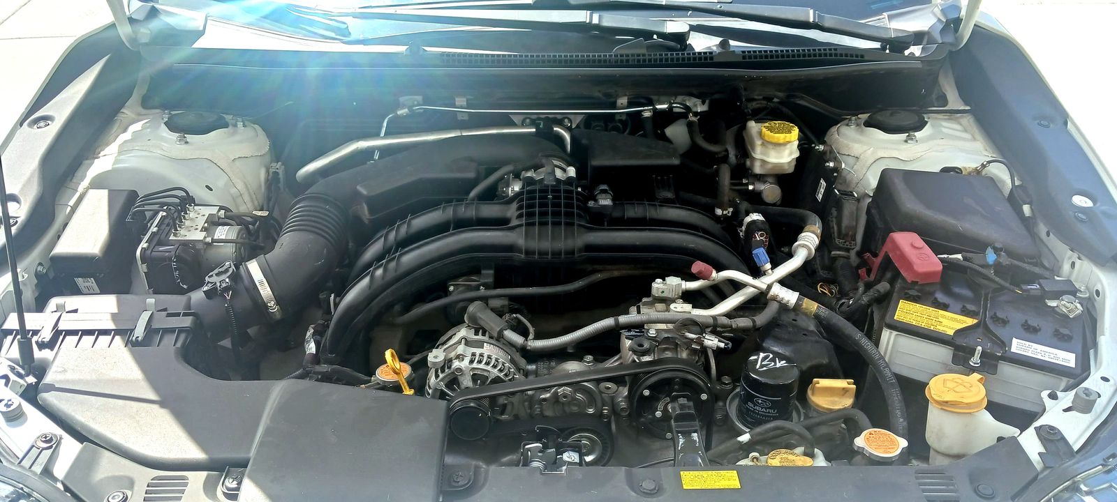 Main image 5