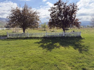 Free Picket Fence