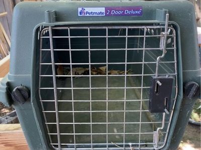 Pet Crate