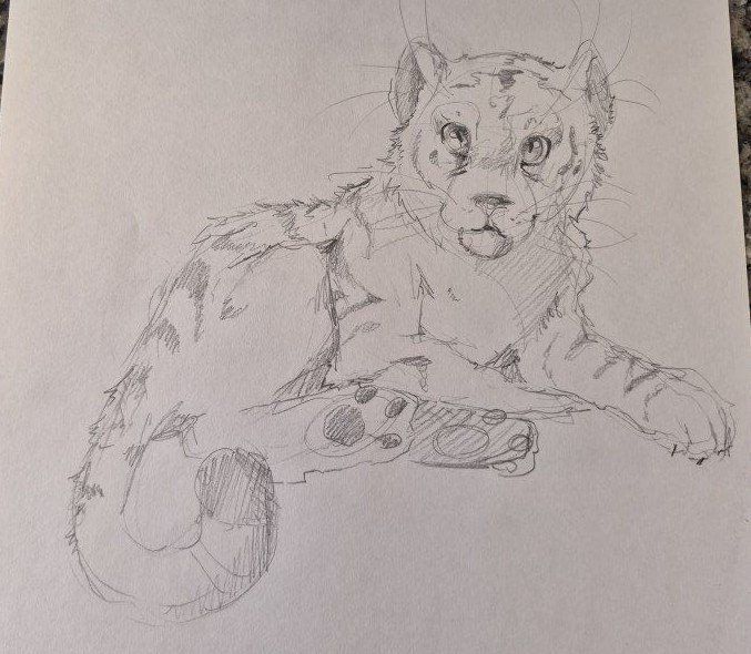 2 Cat Sketches