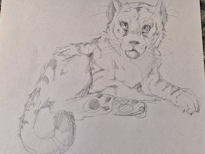 2 Cat Sketches