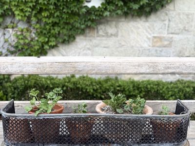 Vintage garden galvanized metal decor