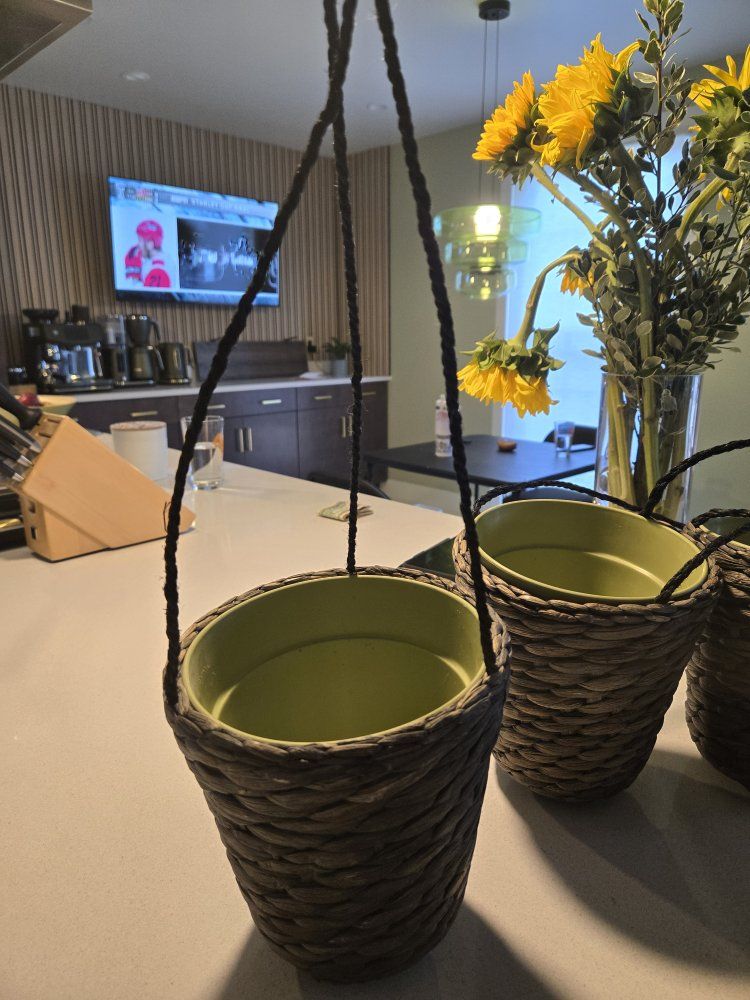 IKEA DRUVFLÄDER Hanging Planters