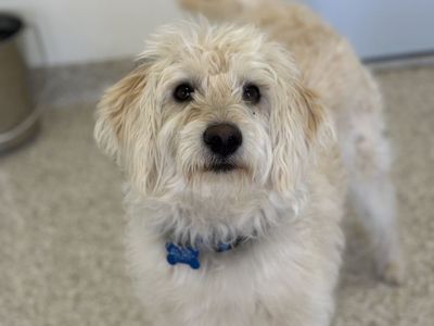 Hello my name is Guilly