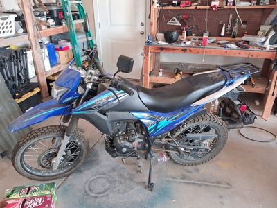 TaoTao 250cc.