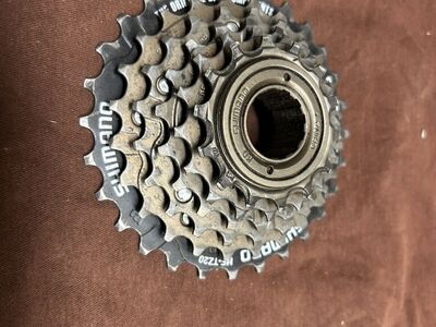 6 Speed Freewheel