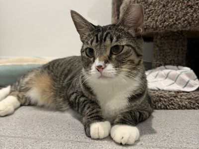 Hello my name is Andromeda