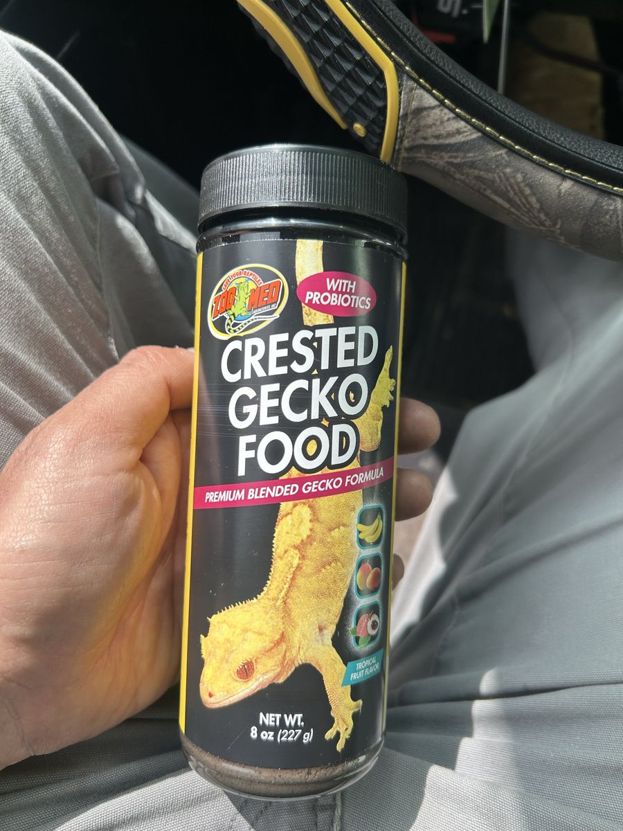 Crested GecKo Food