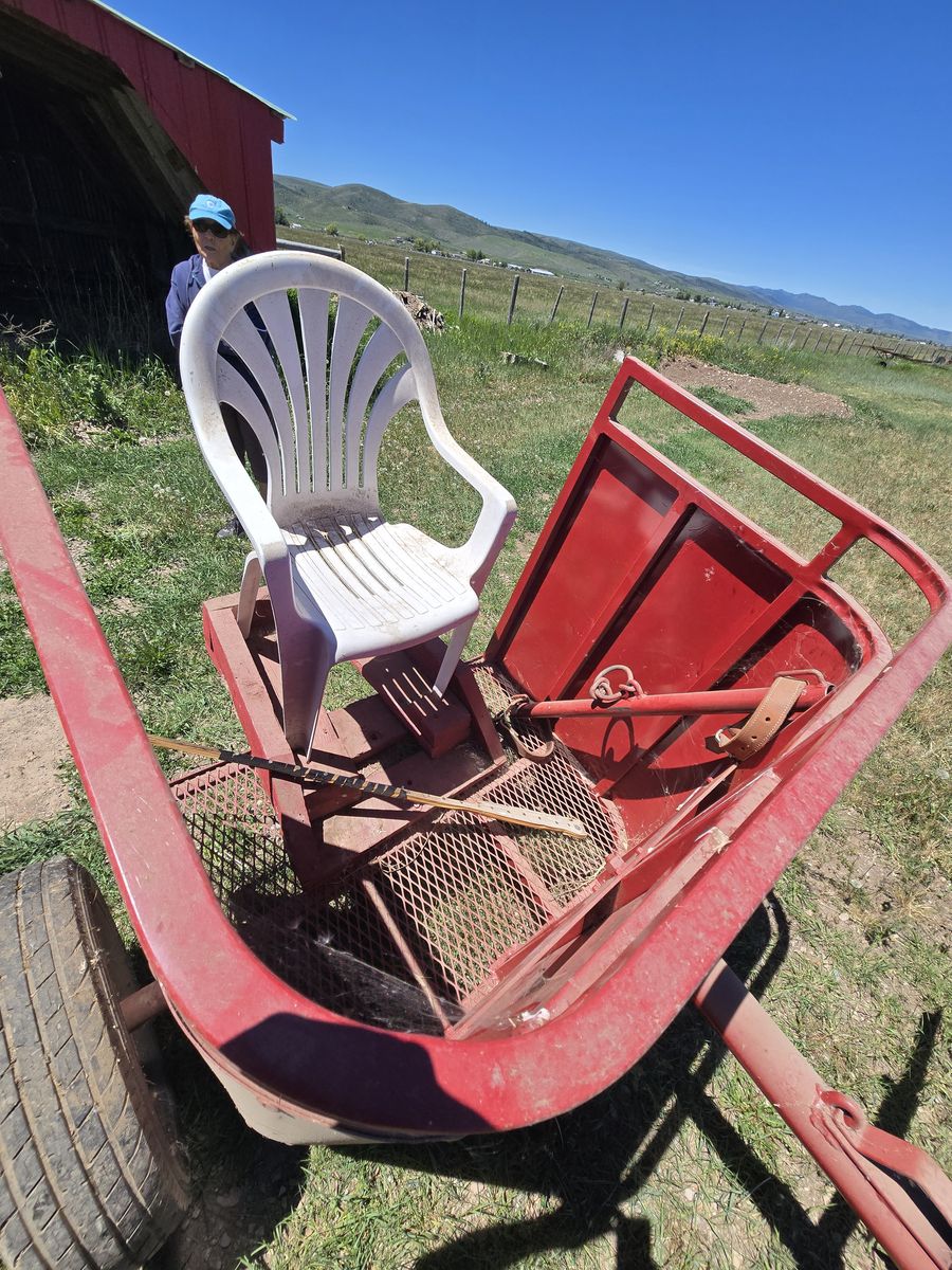 Horse chariot