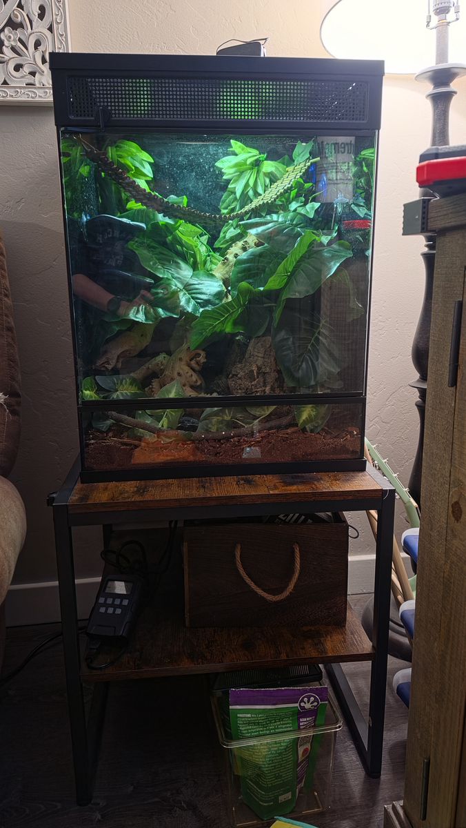 18*18*24 reptile enclosure
