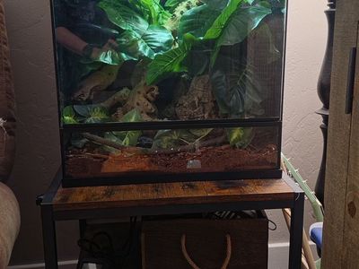 18*18*24 reptile enclosure