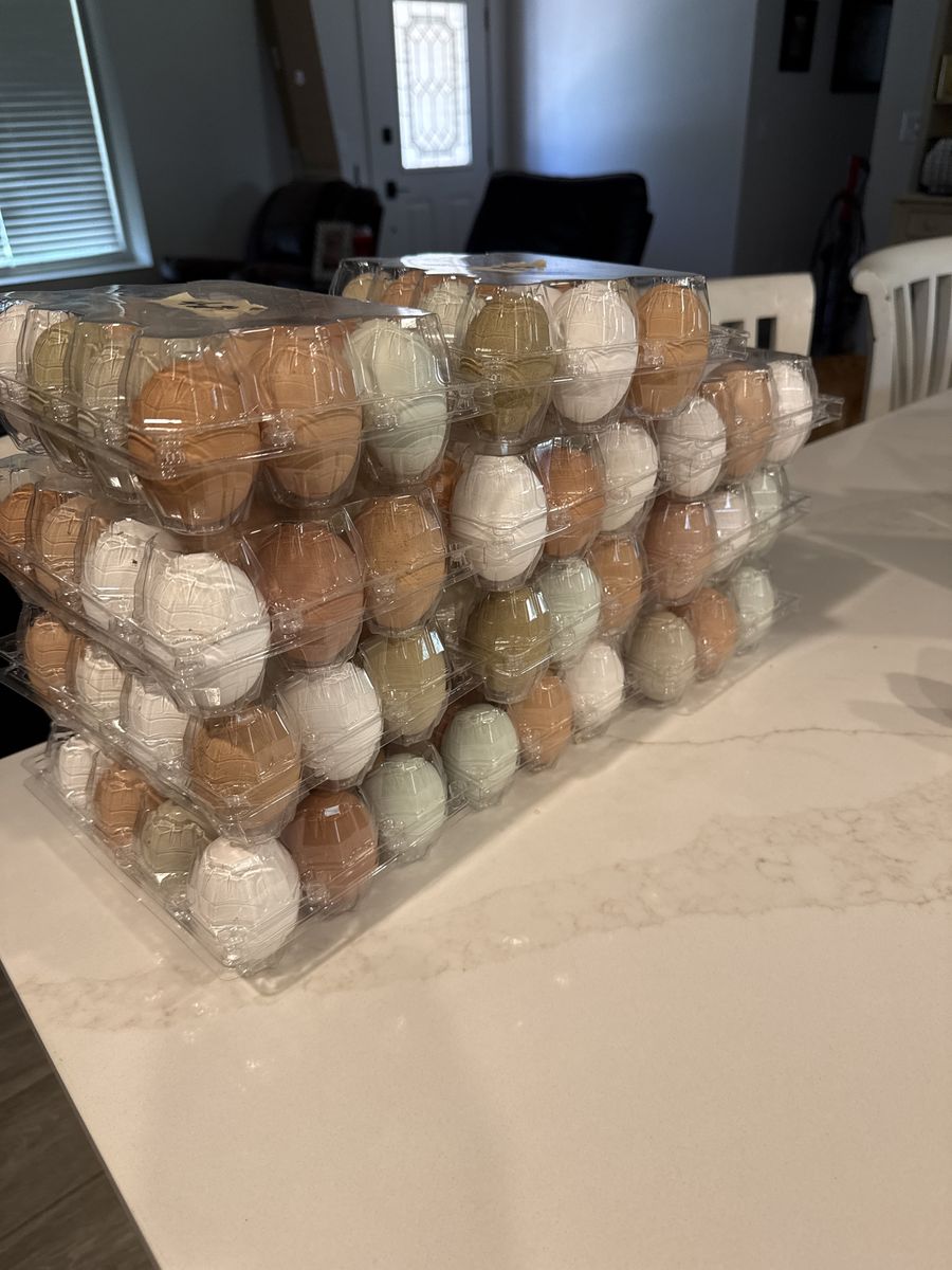 Fresh eggs