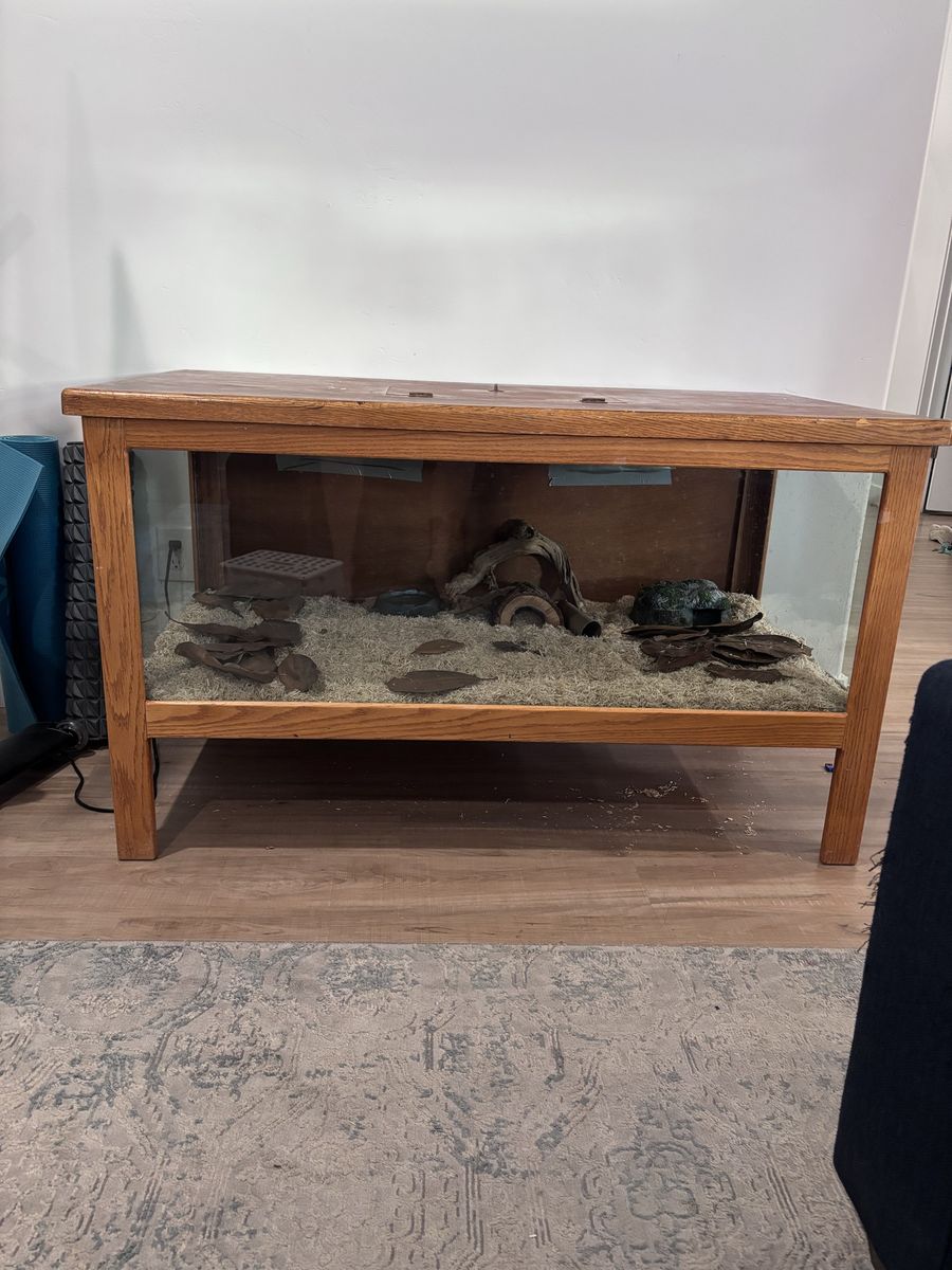 Reptile Enclosure