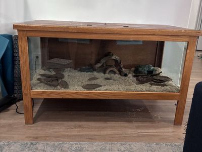 Reptile Enclosure