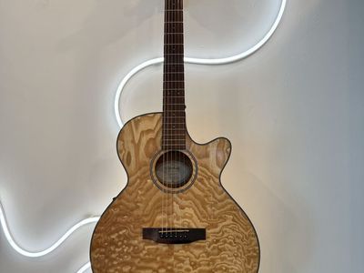 Mitchell Acoustic Guitar
