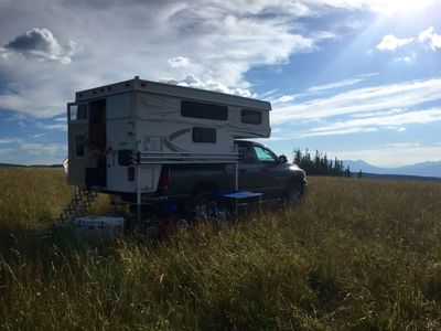 Palomino Bronco 2009 B-1251