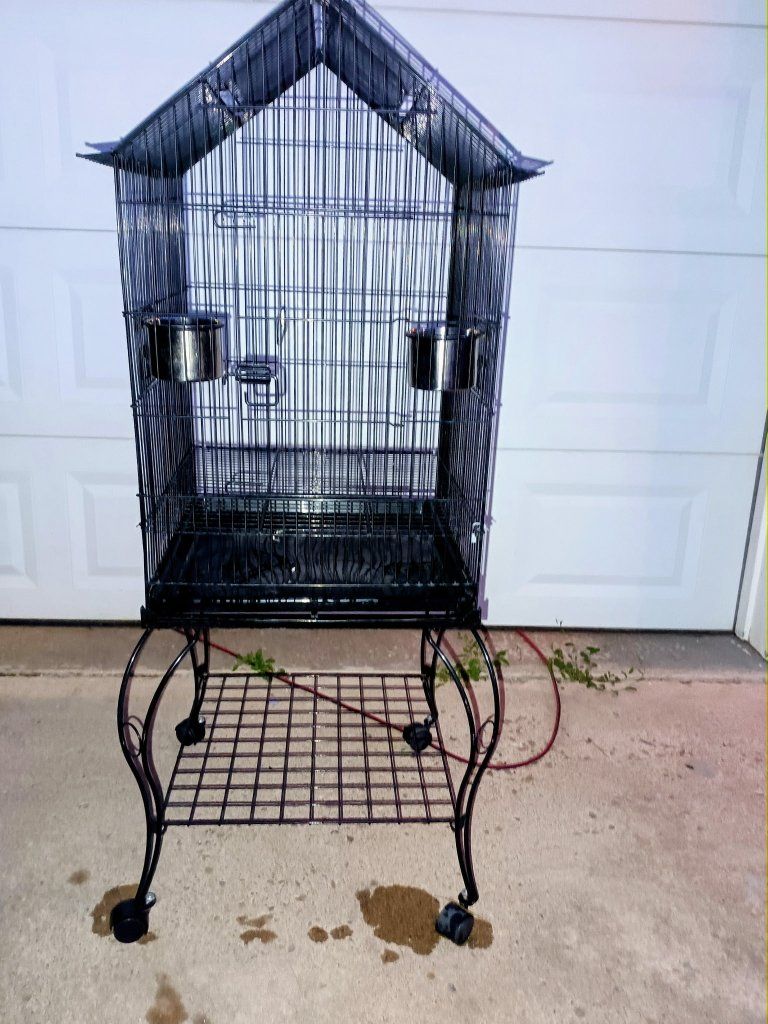 Bird Cage